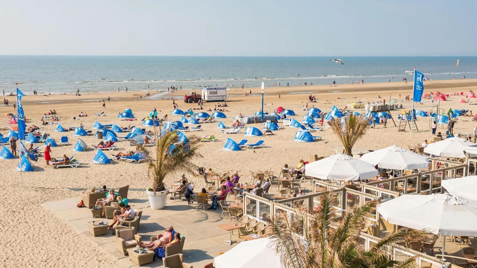 Apartment Mike Zandvoort Hollandia